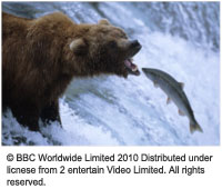 BBC EARTH