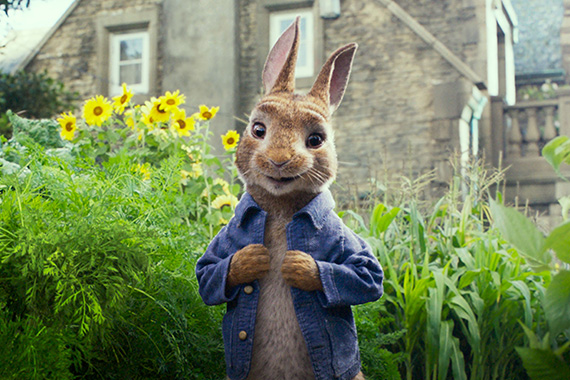 ピーターラビット