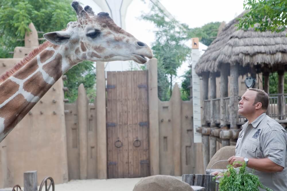 Mr. ズーキーパーの婚活動物園