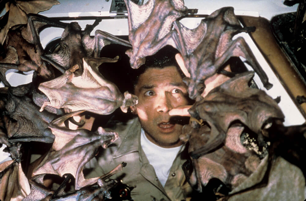 ＢＡＴＳ　 蝙蝠地獄