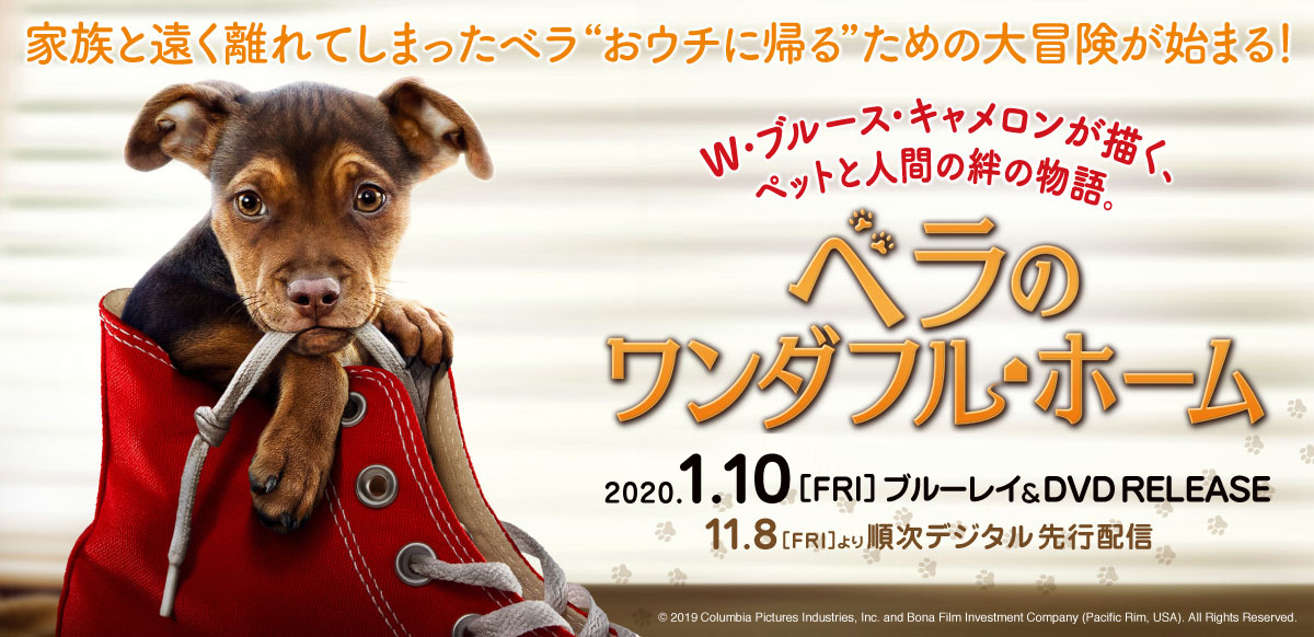 ベラのワンダフルホーム