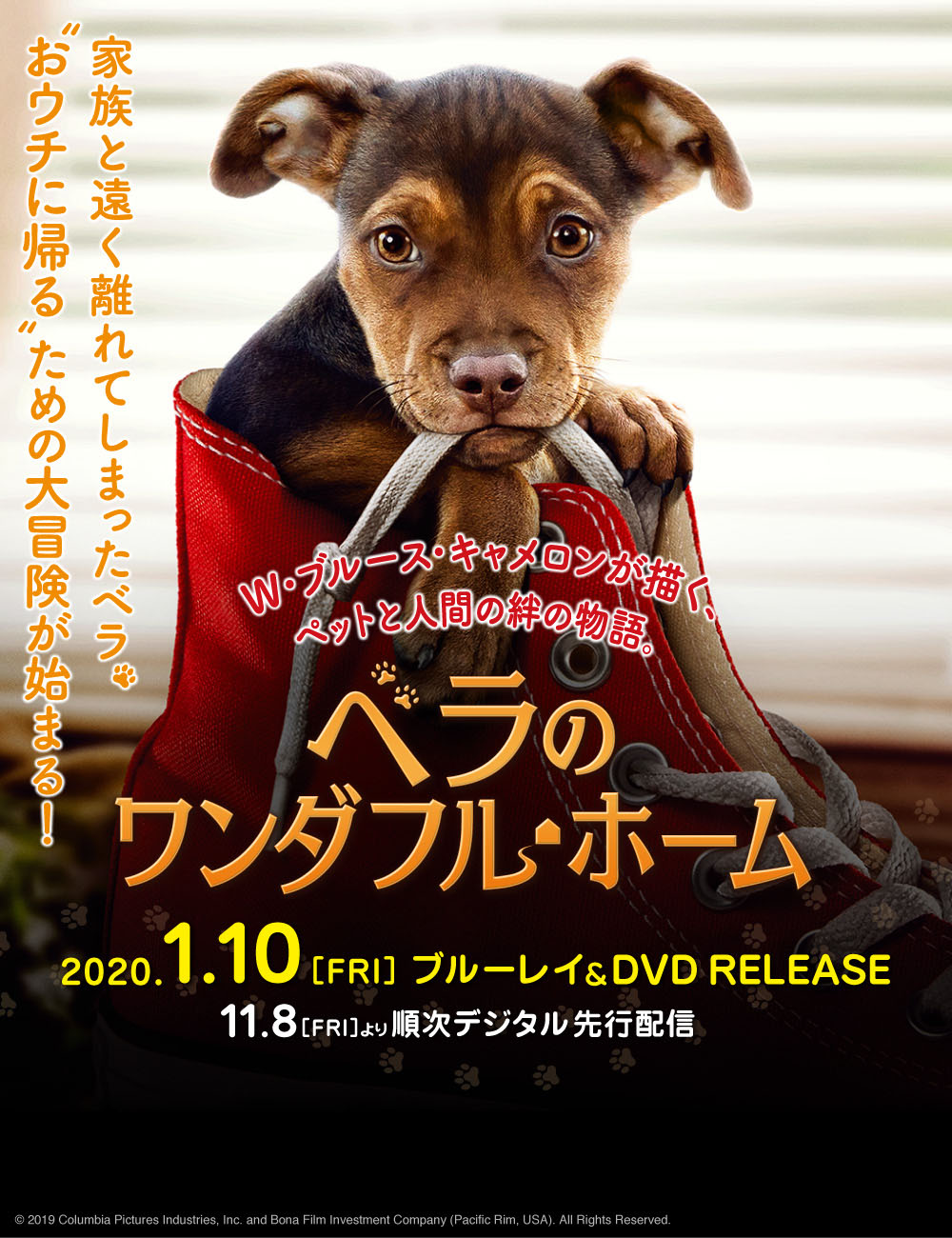 ベラのワンダフルホーム