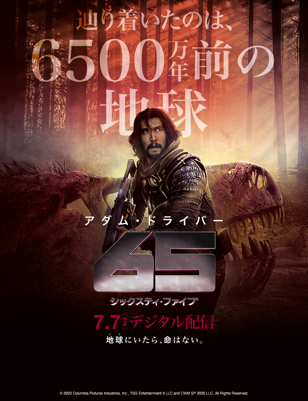 65／シックスティ・ファイブ