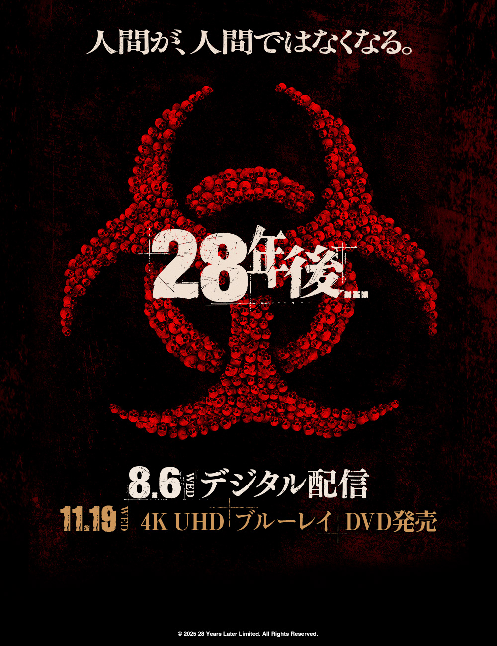 28年後…