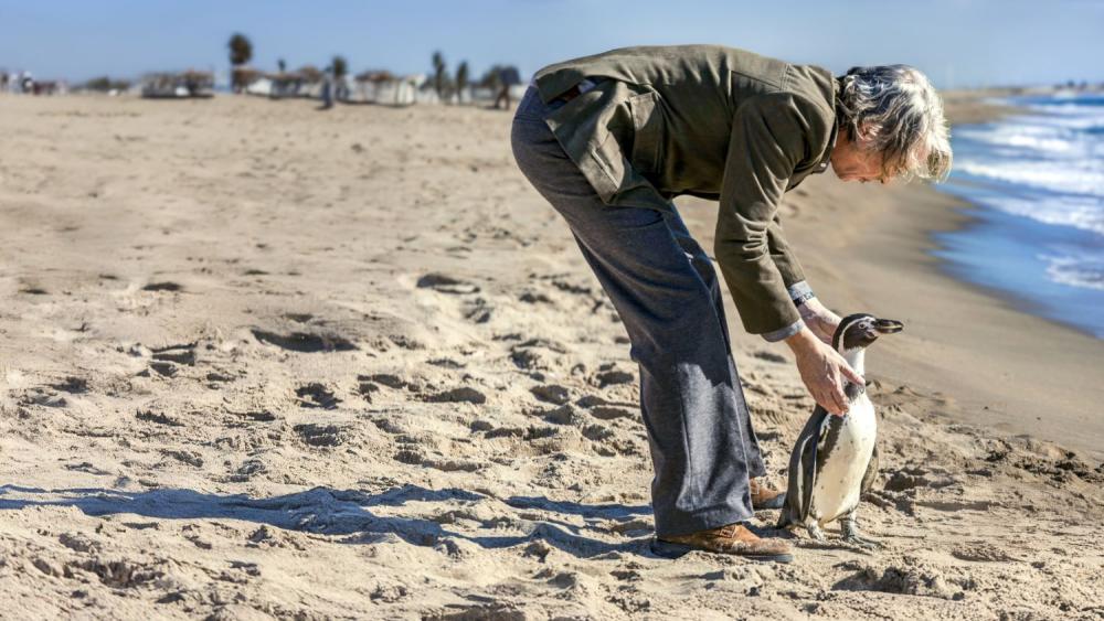 ペンギン・レッスン