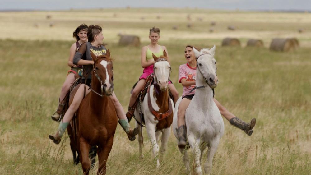 バッドランズの夜明け