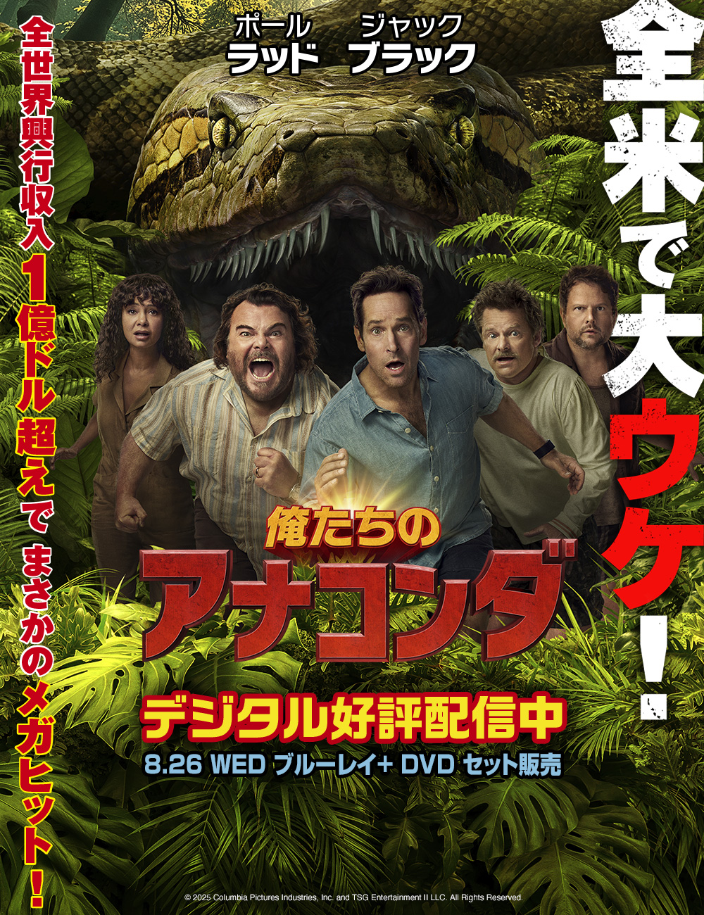俺たちのアナコンダ