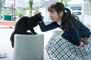 「銀座黒猫物語」