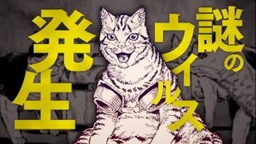 逃げろ、可愛い猫が来た。 衝撃のキャットフルコミック『ニャイト