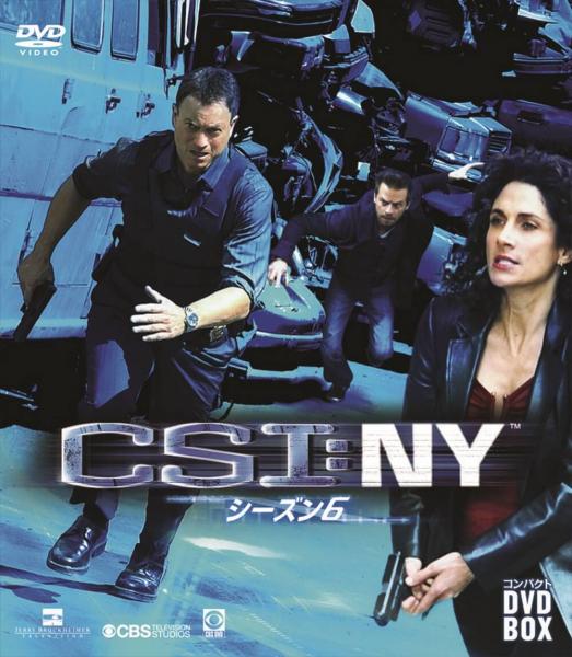 CSI:NY シーズン６